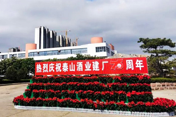 泰山(shān)酒業|助力泰山(shān)酒業建廠75周年
